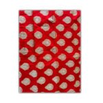 Premium Katan Silk Saree for Women | Wedding & Festive Wear | Chitrochaya Exclusive - Image 5